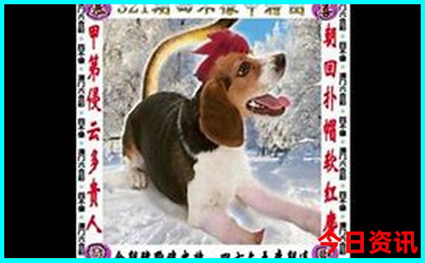 11月旅游地点推荐